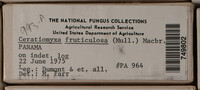 Image Associated With the Occurence